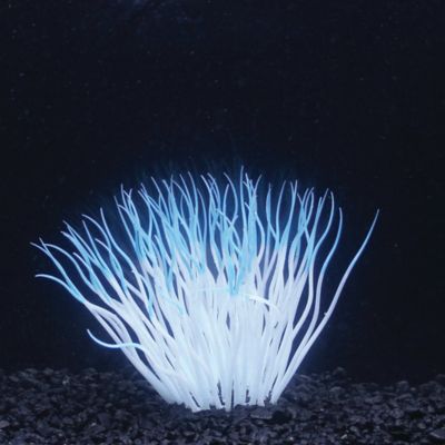 Image showing  Aqua-Plants Artificial Soft Silicone Sea Anemone Fish Tank and Aquarium Decor , Blue