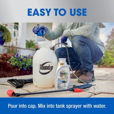 Image showing 6 th Roundup Dual Action Con 1 qt.