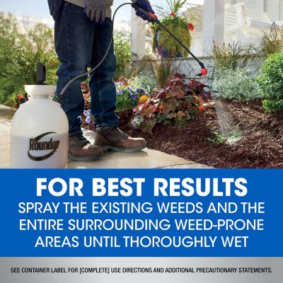 Image showing 7 th Roundup Dual Action Con 1 qt.