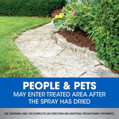 Image showing 8 th Roundup Dual Action Con 1 qt.