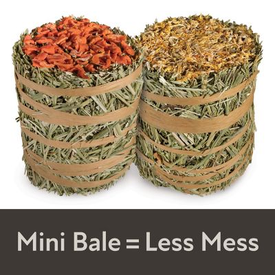 Image showing  Field+Forest Mini Hay Bales Carrot & Marigold Small Animal Treats, 7 oz. 2 pk.