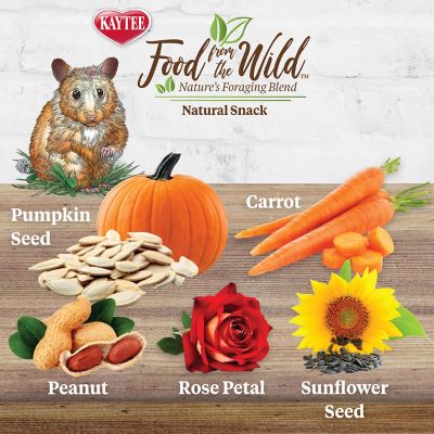 Image showing  Food From the Wild Medley Hamster & Gerbil Treats, 2 oz.