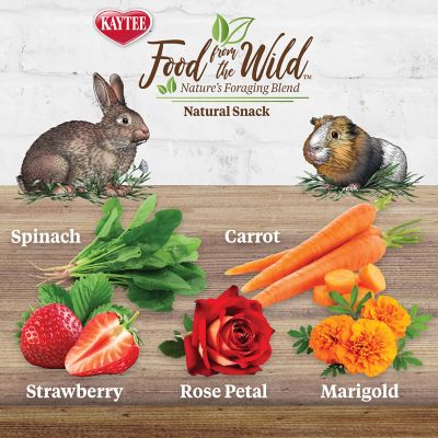 Image showing  Food From the Wild Medley Rabbit & Guine Pig Treats, 1 oz.