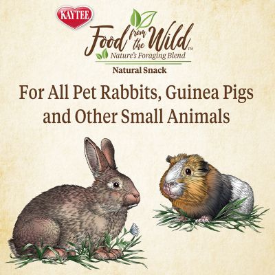 Image showing  Food From the Wild Medley Rabbit & Guine Pig Treats, 1 oz.
