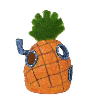 Image showing  Pineapple Aqua-Floras