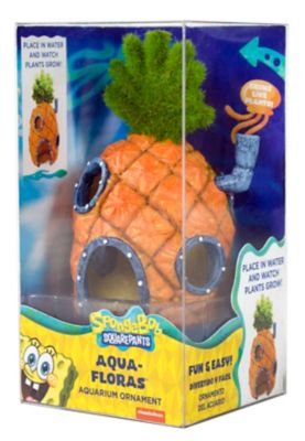 Image showing  Pineapple Aqua-Floras