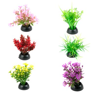 Image showing  Natural Betta Plants, 6 pk.
