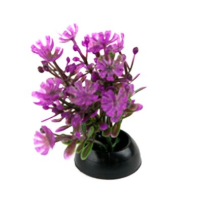 Image showing  Natural Betta Plants, 6 pk.