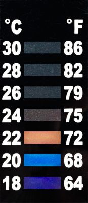 Image showing  Cascade Betta Starter Kit