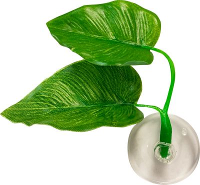 Image showing 5 th Penn-Plax Cascade Betta Starter Kit