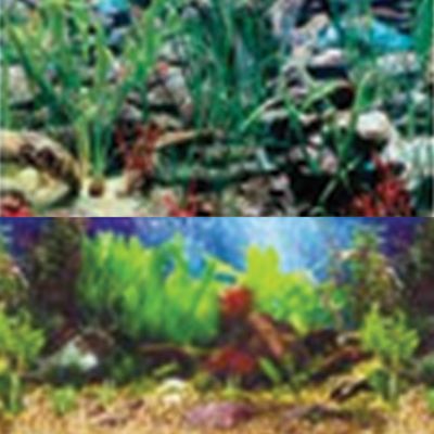 Image showing  Double-Sided Aquarium Background, Tropical Blue/Shalescape