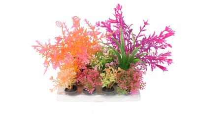 Image showing  Brights Plant Deco Kit, 6 pk.