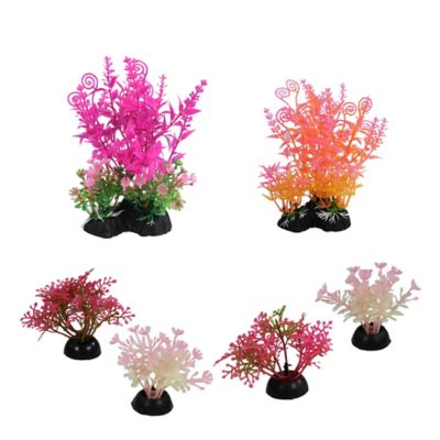 Image showing  Brights Plant Deco Kit, 6 pk.