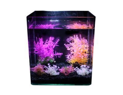 Image showing  Brights Plant Deco Kit, 6 pk.