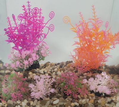 Image showing  Brights Plant Deco Kit, 6 pk.