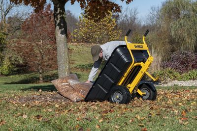 Image showing 6 th DEWALT Combi Cart, DXTB0573