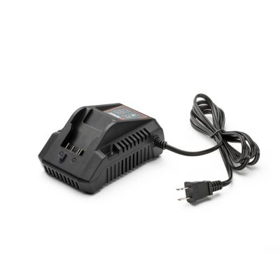 Senix 20V Max* 2.0 Ah Lithium Ion Battery Charger, Power Station with Light Indicator and Wall Mount X2 Batteries