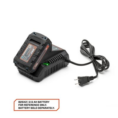 Image showing  20V Max 2.0 Ah Lithium Ion Battery Charger, Power Station with Light Indicator and Wall Mount X2 Batteries