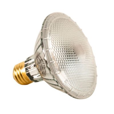 Image showing  Repti Tuff Splashproof Halogen Lamp, 75W