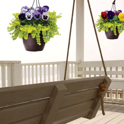 Image showing 1.50 gal. Hb Pansy Combo, IN00211