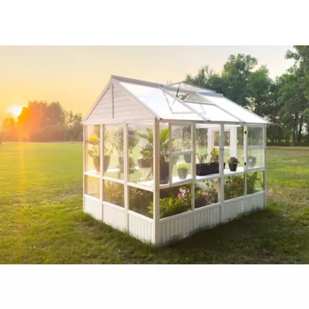 Zylina Hobby greenhouse very large Hobby Greenhouses