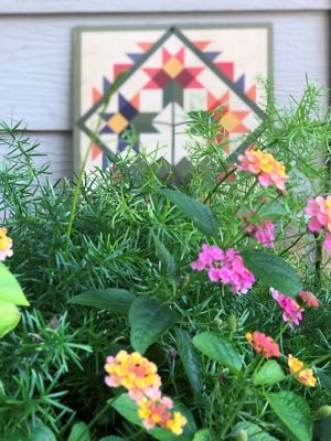 Image showing  Greenhouse Shade - Bouquet Quilt, ZGQ-002