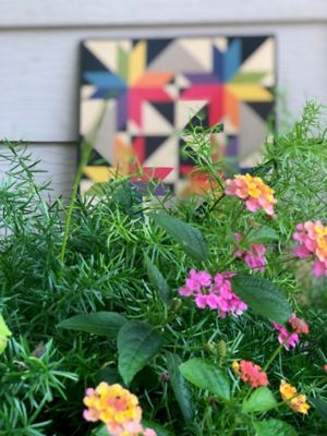 Image showing  Greenhouse Shade - Rainbow Colors Quilt, ZGQ-006