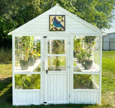 Image showing  Greenhouse Shade - Blue Jay Quilt, ZGQ-008