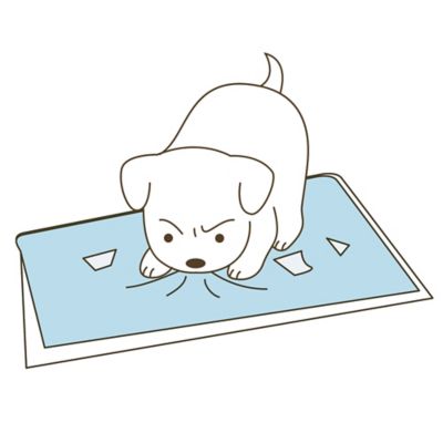 Image showing  PAW TRAX Mesh Dog Training Tray, PK