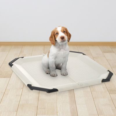 Image showing  PAW TRAX Mesh Dog Potty Pad Holder, White/Black
