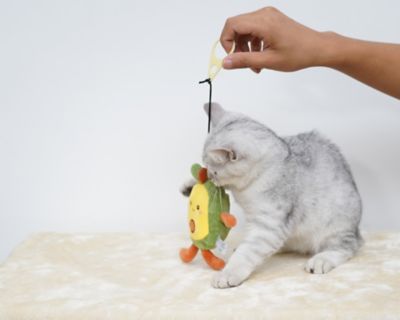 Image showing  Avocado Bud Interactive Cat Toy