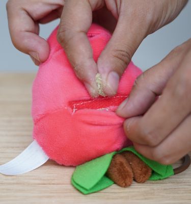 Image showing  Strawberry Interactive Cat Toy