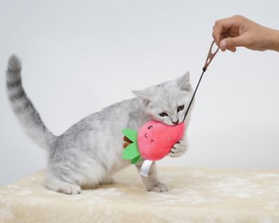Image showing  Strawberry Interactive Cat Toy