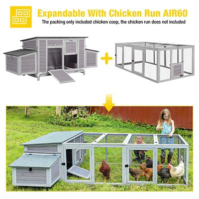 Image showing  Wooden Chicken Coop, 2-4 Chicken Capacity