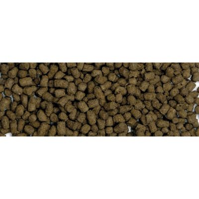 Image showing  Bug Bites Cichlid Pellets, 3.5 oz.