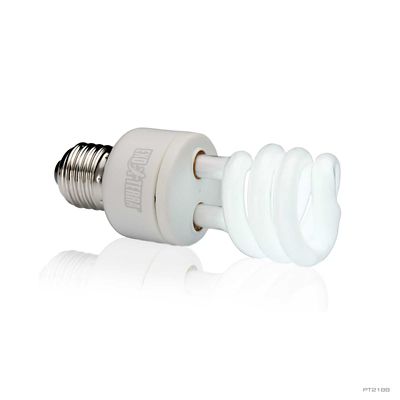 Image showing  Reptile UVB150 13W Desert Terrarium Bulb