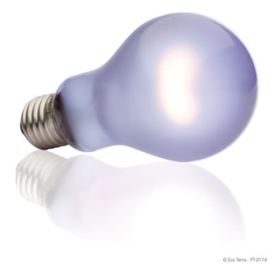 Image showing  Daytime Heat Lamp, 150W