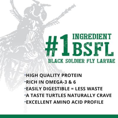 Image showing 1 th Exo Terra Bug Bites Turtle Formula, 3.5 oz