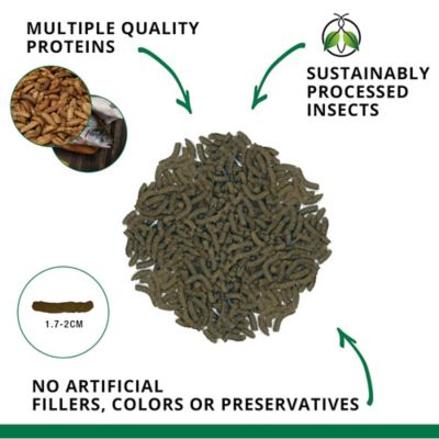 Image showing 4 th Exo Terra Bug Bites Turtle Formula, 3.5 oz