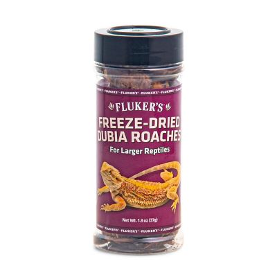 Image showing  Freeze Dried Dubia Roaches Reptile Food