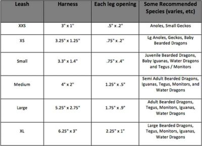 Image showing  Repta Leash, Large