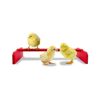 Image showing  Chicken Roosting Bar Perch for Poultry Coop or Chick Brooder, Washable, Made in USA
