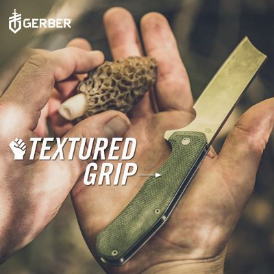 Image showing  3 in. Asada Folding Knife