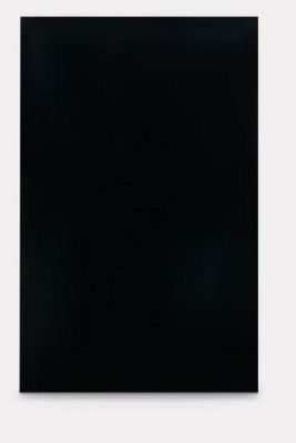 Dometic Refrigerator Door Panel in Black, For Dometic DM2672 and DM2682 Model Refrigerators, 3106863.305C