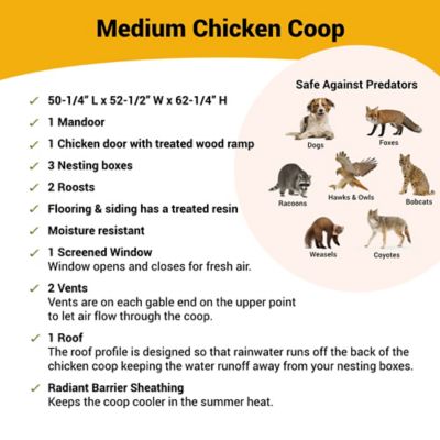 Image showing  Medium Farmhouse Chicken Coop, 10 Chicken Capacity
