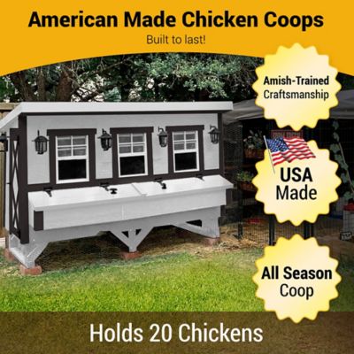 Image showing  Extra-Large Chicken Coop, 20 Chicken Capacity