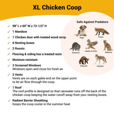 Image showing  Extra-Large Chicken Coop, 20 Chicken Capacity