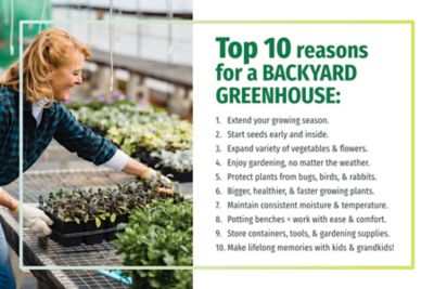 Image showing 7 th OverEZ 8 x 12 EZ Greenhouse with Exhaust Fan