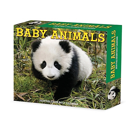 Willow Creek Press Baby Animals 2024 Box Calendar, 36143
