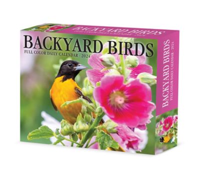 Willow Creek Press Backyard Birds 2024 Box Calendar, 37775